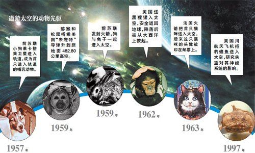 盤點遨游太空的動物先驅(qū)